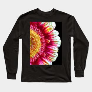 Gerbera Daisy Close Up Long Sleeve T-Shirt